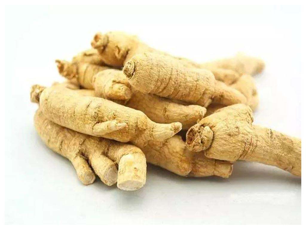 菊花茶金丝皇菊一朵一杯特级大菊花干修水黄菊贡菊官方旗舰店正品