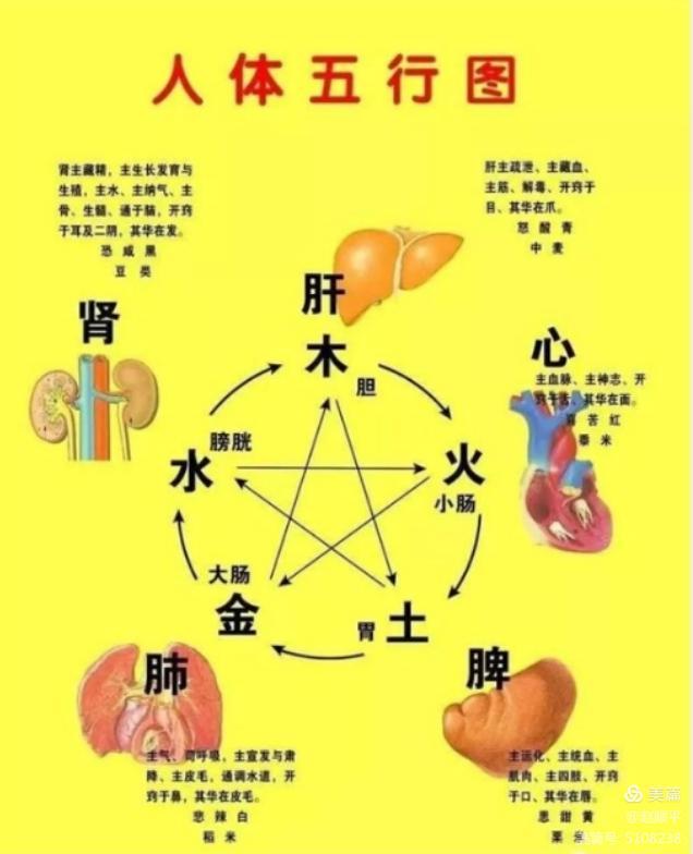 ed7c0fc1d1464c428f4fd85881e293c8