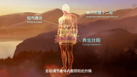 扶阳宣肺保健灸