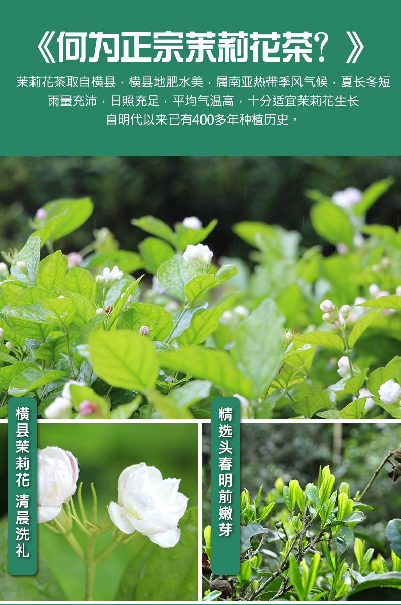 O1CN01ci5CfY20wCfqCdW8B_2207950006913