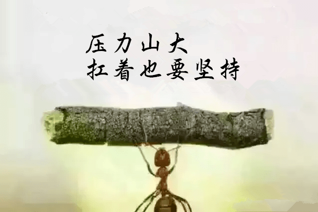 287d67b5a7164233835597e52083d571 287d67b5a7164233835597e52083d571