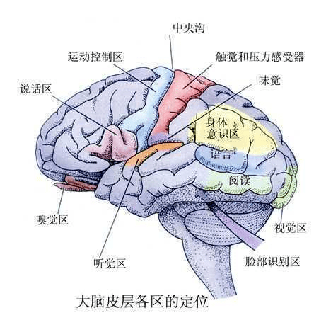 06d660ff34994aa2a299e774b6a3d0a3