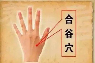 40f3a3d655304c12ba2eceddcff5ddb0