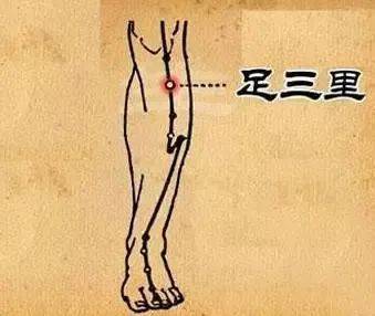 6dc613b9e526401582c1df80c655ba6d