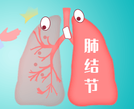 952a6a493e3544fd888b782c43f54056