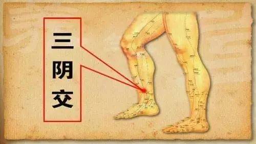 d5e8c5d8085c4ed5a942f21a40eaf135