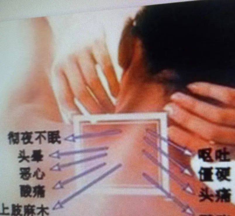 d959a3ff2d3644a2b1104c1d1beac6c3 d959a3ff2d3644a2b1104c1d1beac6c3