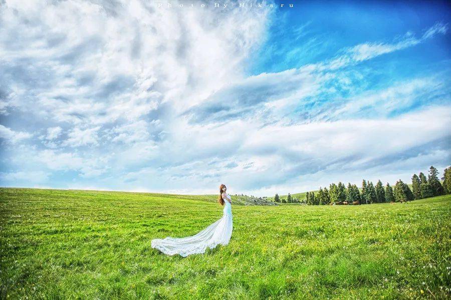 09b5d8cf41e741b88254efbd2df24443