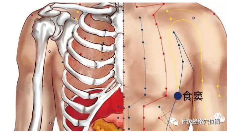 74fb6905cebe432791c01fbde04e2987