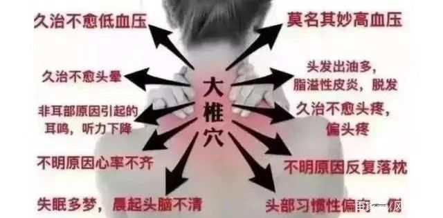 08f790529822720e3db2757d07befa40f31fabb1.jpeg@f_auto