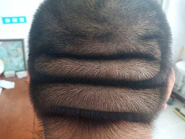 40897463cbc84adb8a78458a12e68fe5