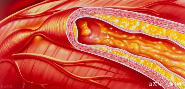 9a504fc2d5628535aea33395e89a86c0a6ef63bb.jpeg@f_auto