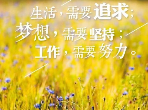 民间百草是药歌决