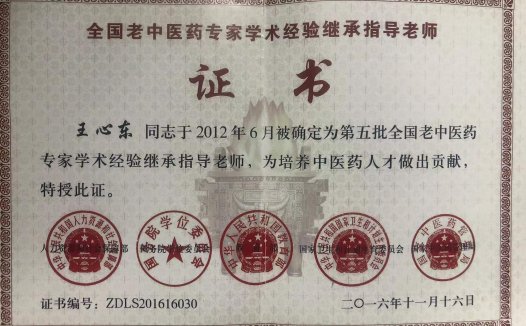 河南名中医王心东-医易和名老中医