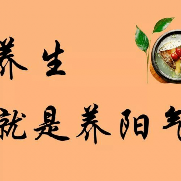 扶阳益肾隔药灸