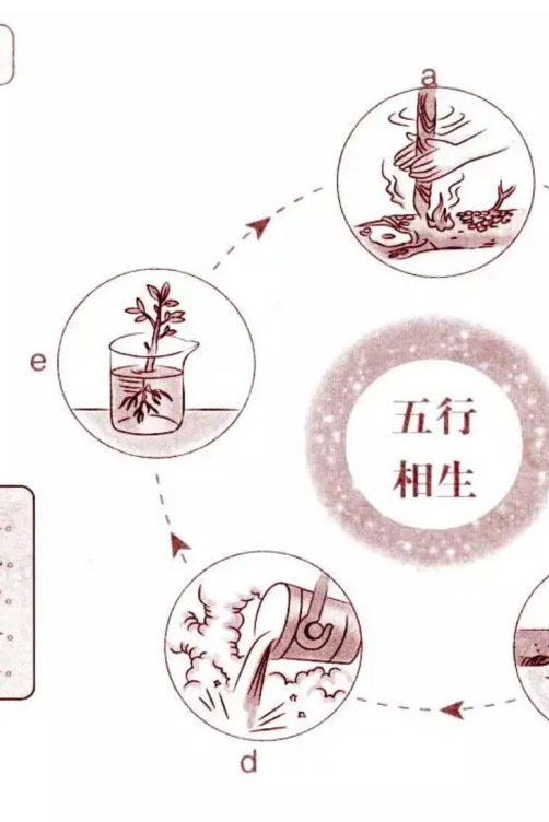 医易和生态五行体系