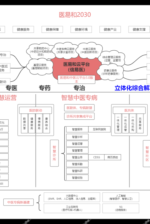 医易和发展大健康产业集群行动计划书