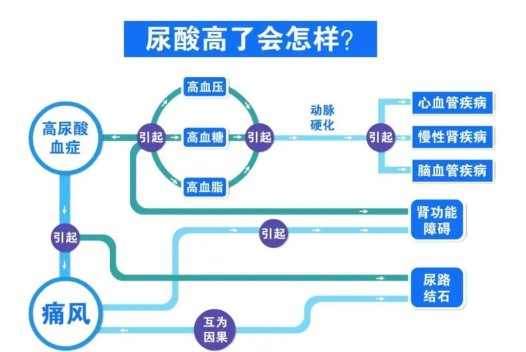 易医医派痛风酒带给痛风患者福音