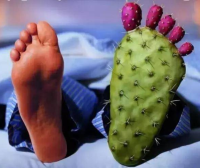 用中药调理痛风一周期或一段时间，有的人尿酸不降反升，是没有效果吗？