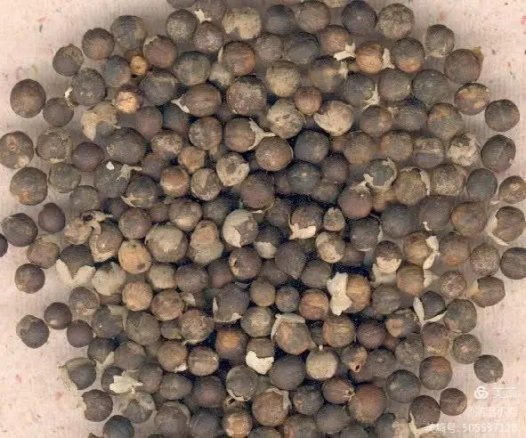 易医流派-系列19