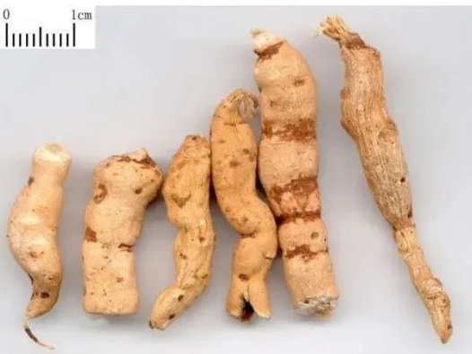 易医流派-系列21