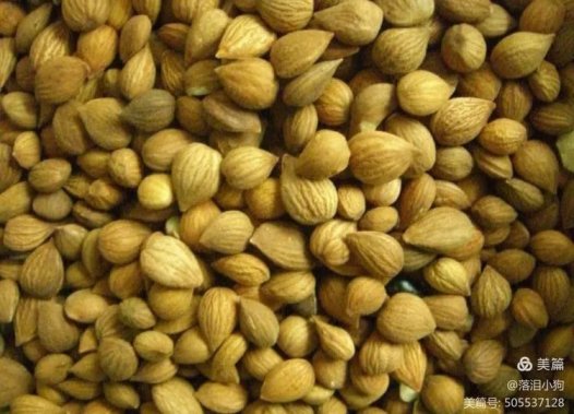 易医流派-系列17