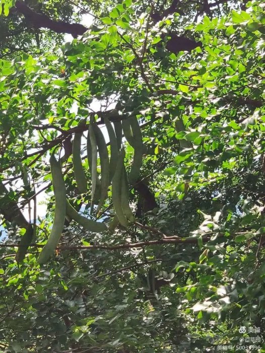 易医流派-系列16